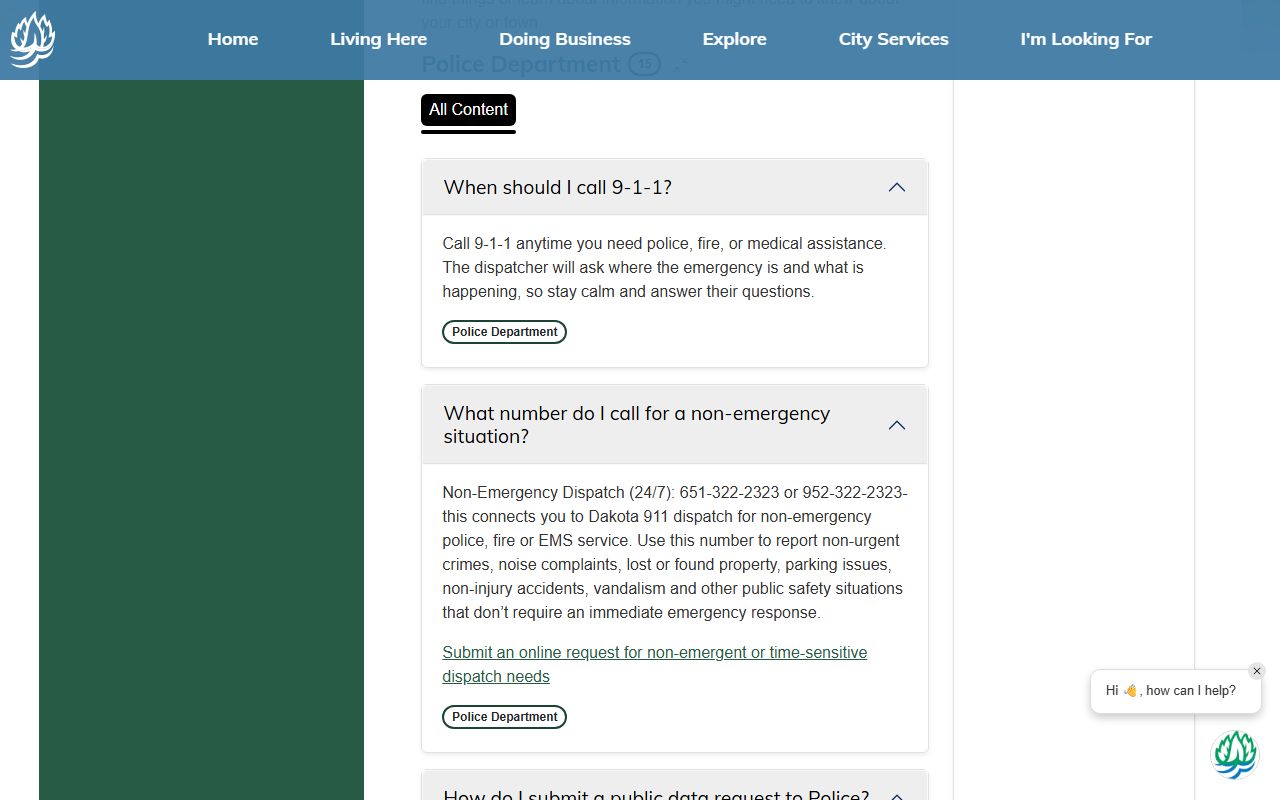 Burnsville criminal history records request page