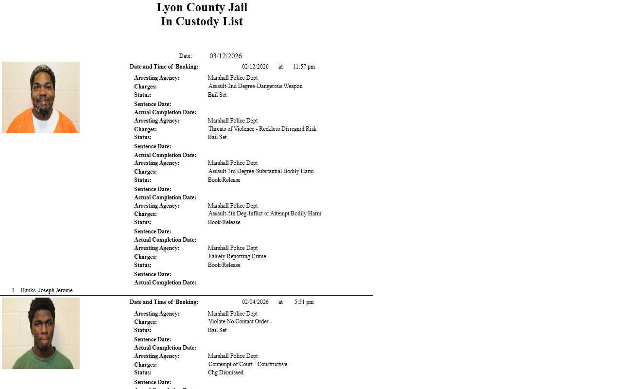 Lyon County in-custody list real-time jail roster for criminal history