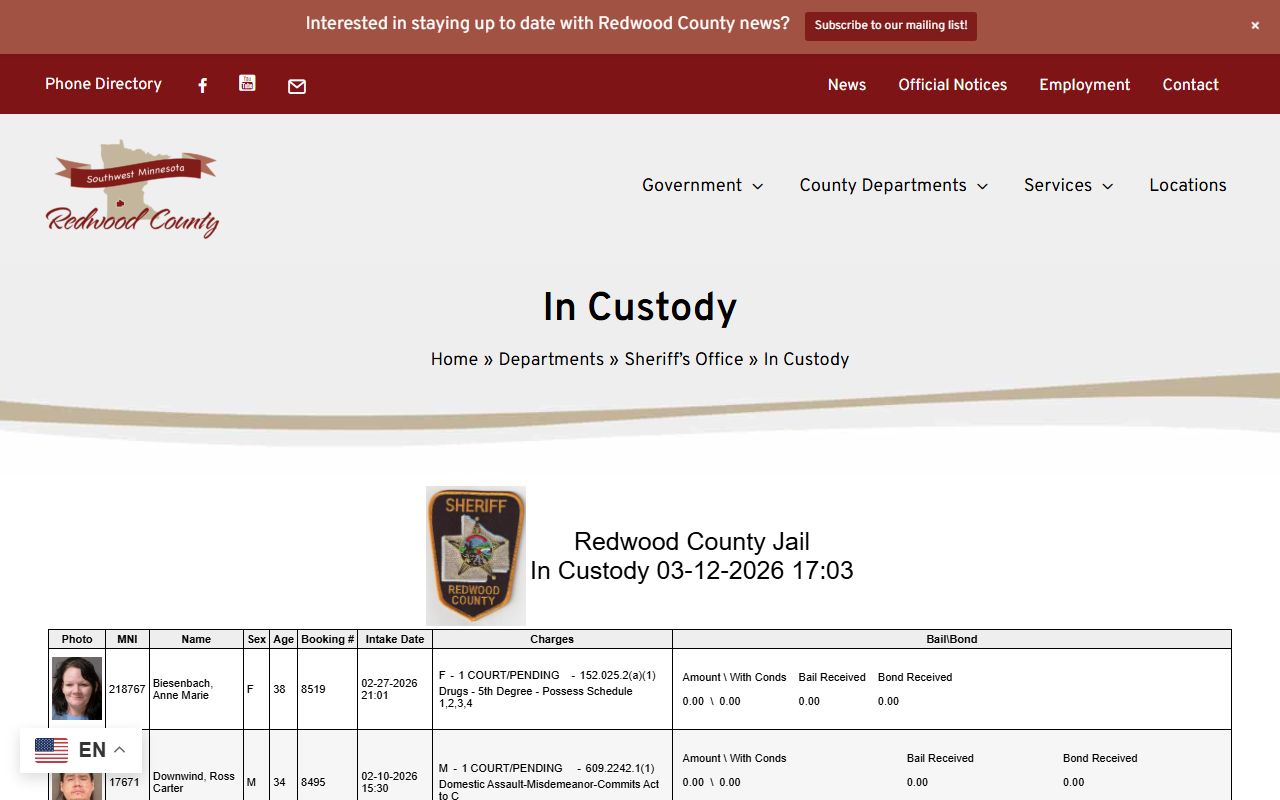 Redwood County in-custody inmate list showing booking numbers and charges for criminal history